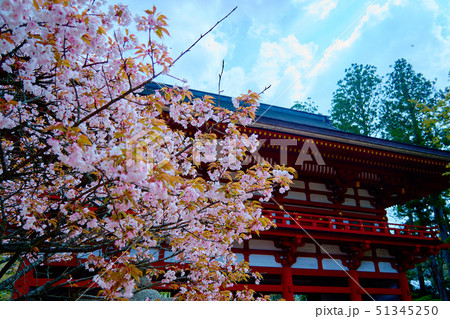 高野山_中門_No2 51345250