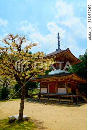 金剛三昧院_多宝塔_No3 金剛三昧院_多宝塔_No3 51345260