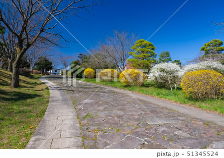 都立桜ヶ丘公園 遊歩道 都立桜ヶ丘公園 遊歩道 51345524