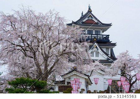 横手城桜まつり 横手城桜まつり 51345563