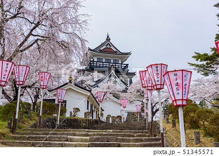 横手城桜まつり 横手城桜まつり 51345571