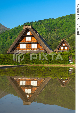 《岐阜県》白川郷・初夏 51346075