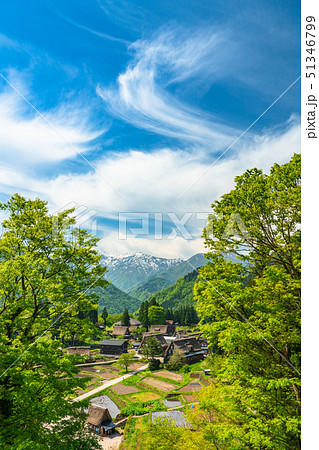 《富山県》相倉合掌造り集落・新緑シーズン 51346799