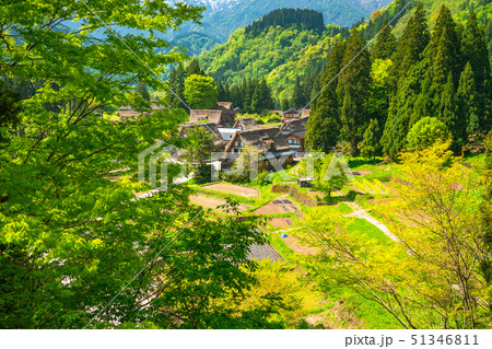 《富山県》相倉合掌造り集落・新緑シーズン 51346811