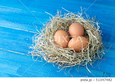 Fresh brown chicken eggs in hay nest on blue 51347482
