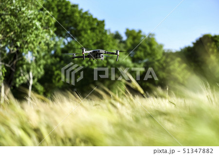 麦畑 青麦畑 畑 51347882