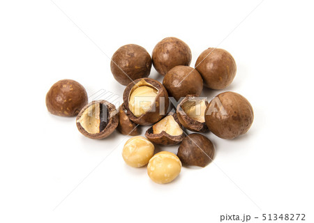 マカダミアナッツ マカダミアナッツ 51348272