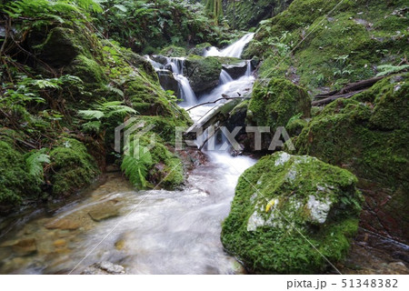 夏の黒山三滝(埼玉県・8月) 夏の黒山三滝(埼玉県・8月) 51348382