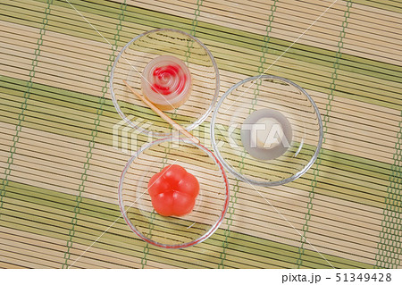 和菓子　日本　Japanese traditional sweets(wagashi) 51349428