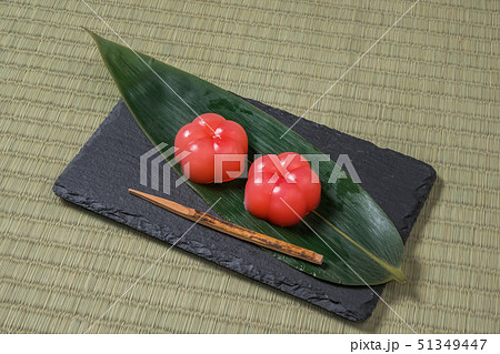 和菓子 日本 Japanese traditional sweets(wagashi) 和菓子 日本 Japanese traditional sweets(wagashi) 51349447