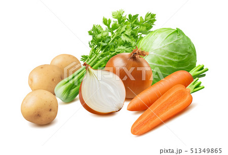 Cabbage, carrot, onion, potato, celery isolated on 51349865