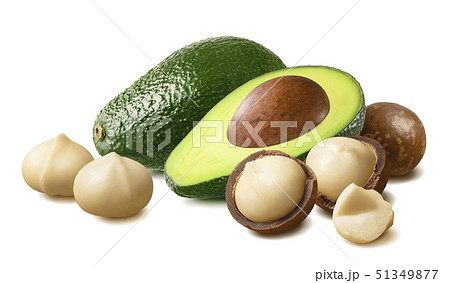 Avocado and macadamia nuts isolated on white Avocado and macadamia nuts isolated on white 51349877