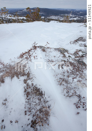 Snow and twigs on the ground at arctic hill Snow and twigs on the ground at arctic hill 51349921