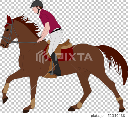 young horseman riding elegant horse color 51350488