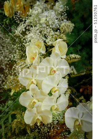 Nice yellow orchid with other flower decoration 51350761