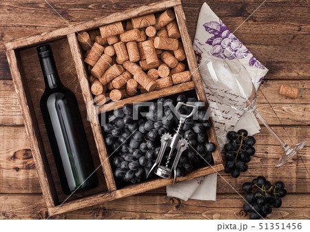 Bottle of red wine and empty glass with grapes 51351456