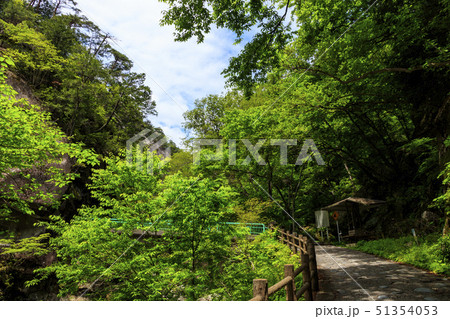 昇仙峡(初夏) 昇仙峡(初夏) 51354053