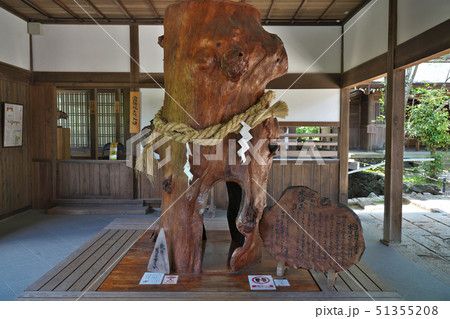 【伊太祁曽神社 厄難除け木の俣くぐり】 和歌山県和歌山市伊太祈曽 【伊太祁曽神社 厄難除け木の俣くぐり】 和歌山県和歌山市伊太祈曽 51355208