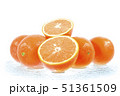 Oranges 51361509