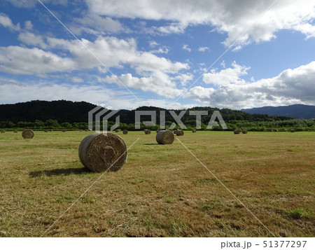 夏空～牧草ロール 51377297