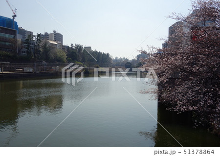 市ヶ谷 市ヶ谷 51378864