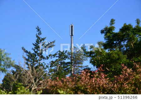 樹木の中の携帯電話基地局 51396266