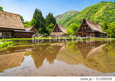 富山県 菅沼合掌造り集落 新緑シーズンの写真素材