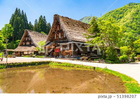 《富山県》菅沼合掌造り集落・新緑シーズン 51398207