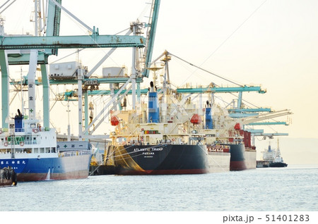 港湾の夕景 51401283