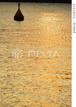 港湾の夕景 51401313