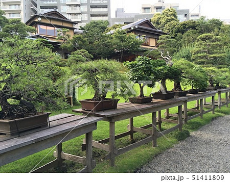 八芳園 八芳園 51411809