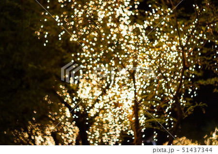 Blurred image Decorative outdoor string lights  51437344