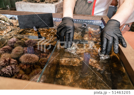 The dealer pulls the oysters out of water. Oysters, sea urchin and mussels for sale in a water 51463205