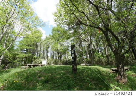札幌市清田区　白旗山山頂風景 51492421