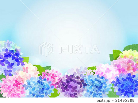 紫陽花と水色の背景のイラスト素材