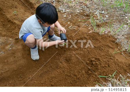 家庭菜園をはじめる子ども 51495815