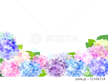 紫陽花の花と葉っぱイラストのイラスト素材