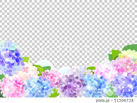 紫陽花の花と葉っぱイラストのイラスト素材