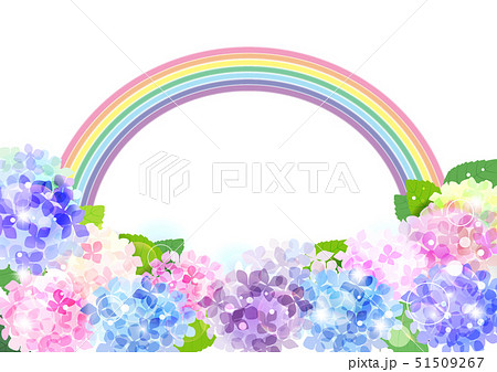 紫陽花の花と虹イラストのイラスト素材