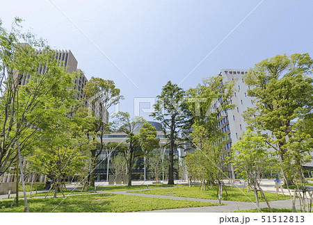 中野四季の都市にある大学(東京都中野区) 中野四季の都市にある大学(東京都中野区) 51512813