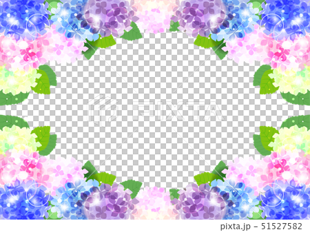 Hydrangea up and down frame 51527582