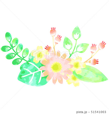 ボタニカルイラスト素材のイラスト素材