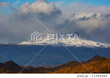 Patagonia 51569980