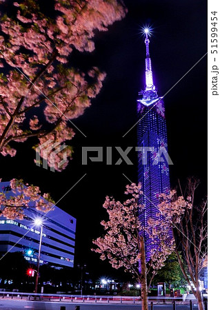 福岡タワーSAKURAの写真素材 [51599454] - PIXTA