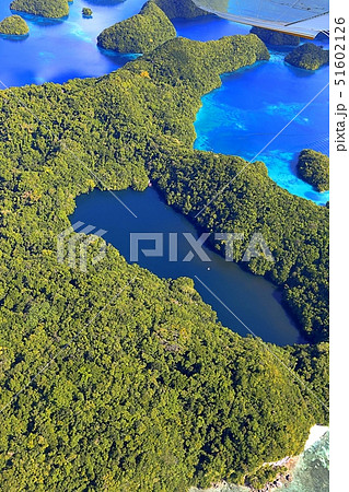 空から見たジェリーフィッシュレイク(パラオ共和国) 空から見たジェリーフィッシュレイク(パラオ共和国) 51602126