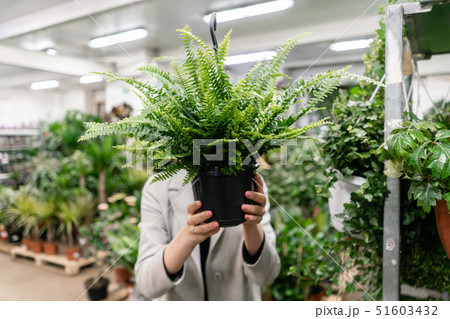 A young woman holding a Nephrolepis plants, fern, chooses a plant for the house. Hiding behind him 51603432