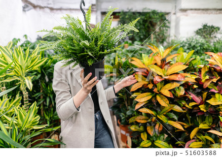A young woman holding a Nephrolepis plants, fern, chooses a plant for the house. Hiding behind him A young woman holding a Nephrolepis plants, fern, chooses a plant for the house. Hiding behind him 51603588