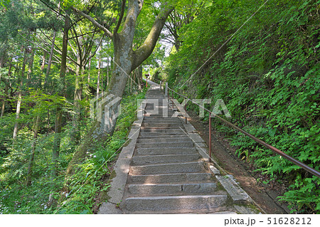 【槇尾山 施福寺 参道】 大阪府和泉市槇尾山町 【槇尾山 施福寺 参道】 大阪府和泉市槇尾山町 51628212