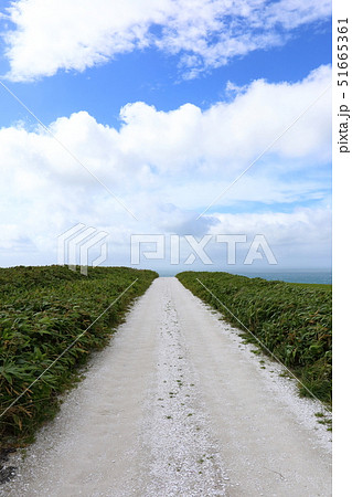 北海道　稚内　宗谷丘陵白い道 51665361