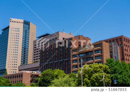 東京医科歯科大学 51667055